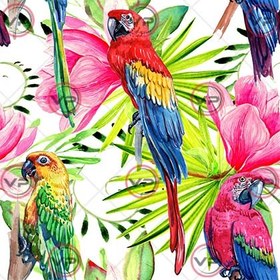 تصویر طوطی آبرنگی 