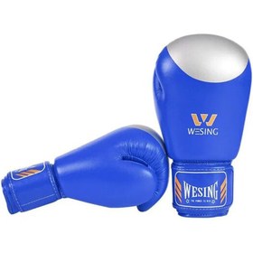 تصویر دستکش بوکس ویسینگ سر نقره ای 