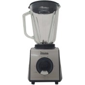 تصویر مخلوط کن و آسیاب کن نانیوا مدل Naniva N-399 grinder and mixer