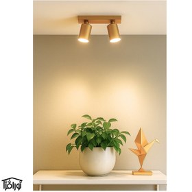 تصویر چراغ سقفی 2 شعله 