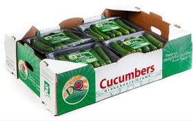 تصویر جعبه لمینیتی کارتن خیار Cucumber boxes