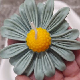 تصویر شمع بابونه 