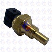 تصویر فشنگی آب انژکتور زیمنس مناسب پراید مشکی 