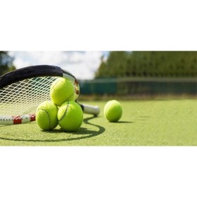 تصویر توپ تنیس گلدکاپ بسته 3 عددی 
