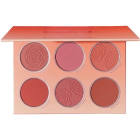 تصویر پالت رژ گونه مدل Floral Flush 