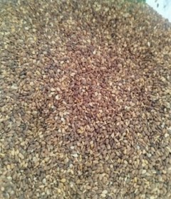 تصویر کنجد قهوه ای 