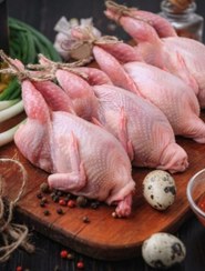 تصویر گوشت بلدرچین ۱ کیلوگرمی کاملا پاک شده بدون پوست 