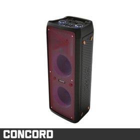 تصویر اسپيكر برند CONCORD مدل FL2100 Speaker brand CONCORD model FL2100