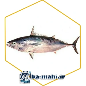 تصویر فروشگاه با ماهی