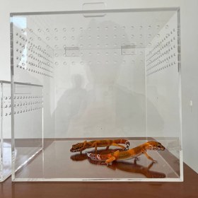 تصویر باکس پلکسی شفاف سایز ۲۰ در ۲۰ 