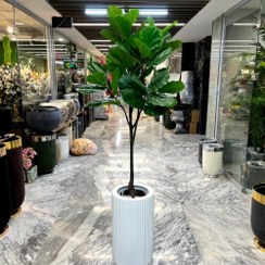 تصویر درختچه فیکوس لیراتا مصنوعی 