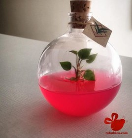 تصویر تراریوم گوی 500 سی سی 