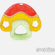 تصویر دندانگير قارچ کيدزمی 