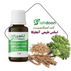 تصویر اسنشیال اویل آنجلیکا 