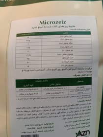 تصویر میکرو زایز انگلستان Microzeiz