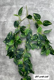 تصویر اویز پتوس ابلغ 