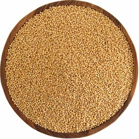 تصویر دانه خردل 