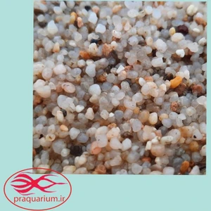 تصویر فروشگاه پرشین آکواریوم