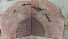 تصویر ریشه گردو ۱.۳۰۰گرم 