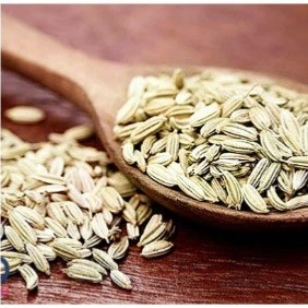 تصویر فروشگاه مواد غذایی دایی