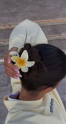 تصویر کلیپس پلومریا براق هشت سانتی Plumeria clip shiny eight cm