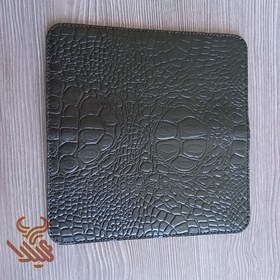 تصویر دولت آرین 