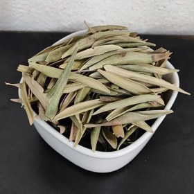 تصویر برگ زیتون 