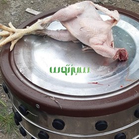 تصویر پرکن مرغ و بلدرچین کبک ۲کاره 