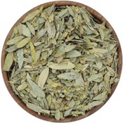 تصویر برگ سنا 