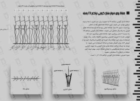 تصویر حفاظ شاخ گوزنی تراکم 28 ردیف 