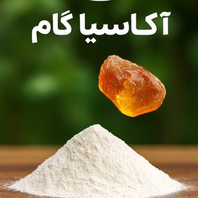 تصویر آکاسیا گام آرتا 100گرمی 