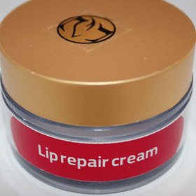 تصویر کرم ترمیم لب 