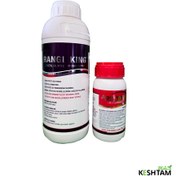 تصویر حشره کش و کنه کش اکتینمور اگریکم Actinmor