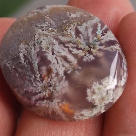 تصویر نگین عقیق شجر بهاری 