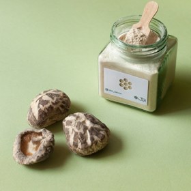 تصویر قارچ دارویی شیتاکی 