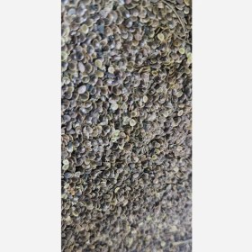 تصویر تخم گزنه 75 گرم 