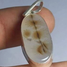 تصویر گردنی نقره عقیق شجر دامغان طبیعی اصل کد 999769 