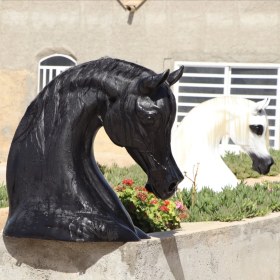 تصویر مجسمه رو ستونی سر و گردن اسب عرب بزرگ 