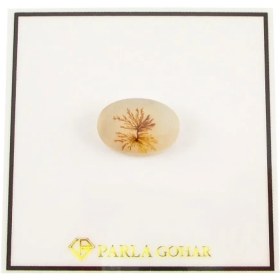 تصویر سنگ شجر پارلا گوهر کد 4084 