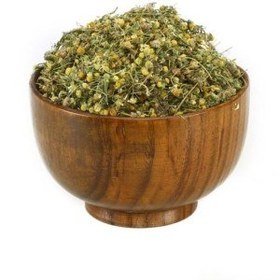 تصویر بابونه گل شیرازی 