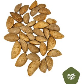 تصویر بادام سنگی 