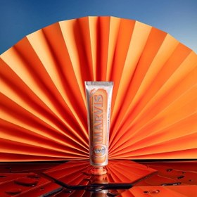 تصویر زنجبیل مارویس 85میلی 