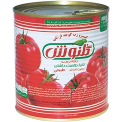 تصویر رب گوجه فرنگی گلنوش ۸۰۰ گرم 