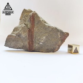 تصویر فسیل گیاهی FS134 