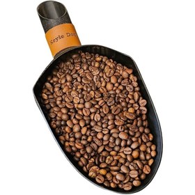 تصویر شوالیه سیاه 