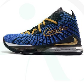 تصویر کفش بسکتبال نایک لبرون Nike LeBron 17 Blue Black Gold 