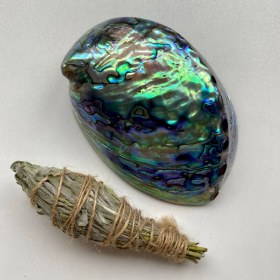 تصویر صدف آبالون 