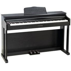 تصویر پیانو نسخه ADP 1981 BNG 2025 Arsenberg 