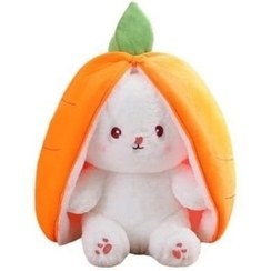 تصویر عروسک خرگوش سوپرایزی مدل هویج Carrot surprise rabbit doll