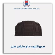 تصویر نمدی کاپوت دنا و دناپلاس-آذین پارت 